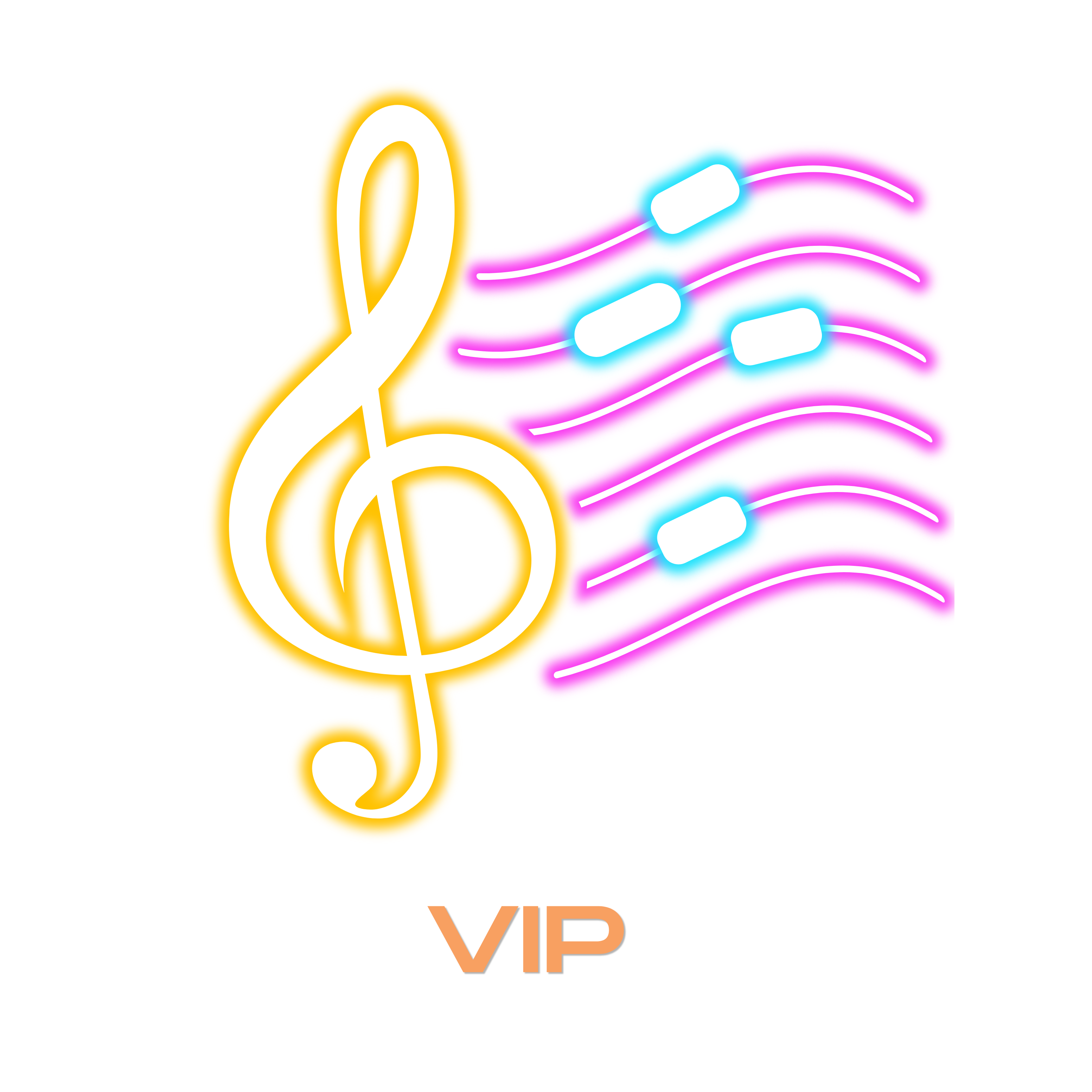 VIP from R1 350